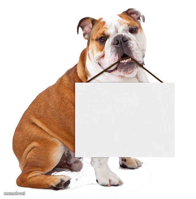 Bulldog holding blank sign - meme generator image preview