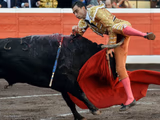 Bullfighter getting gored in crotch