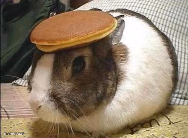 bunny pancake - meme generator image preview