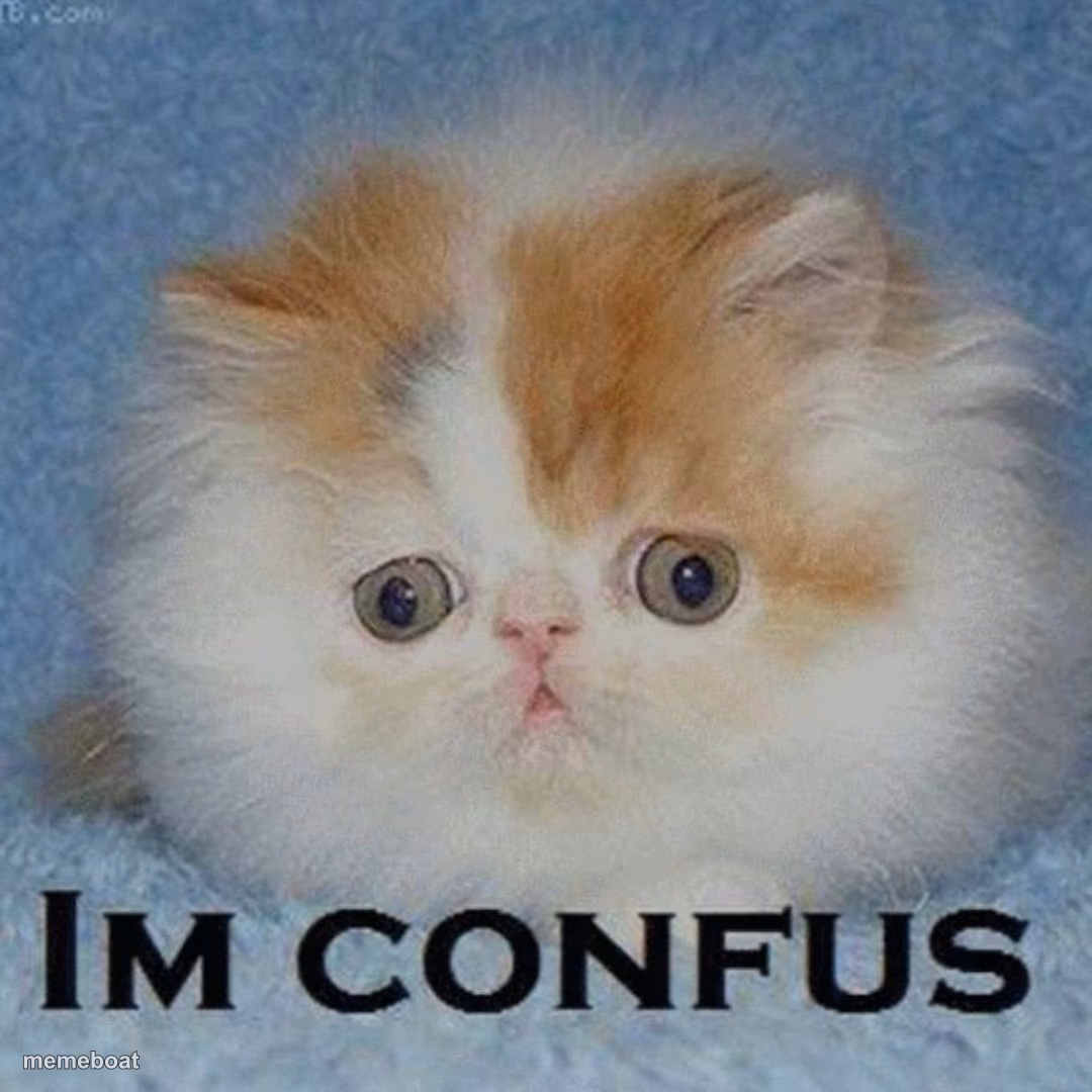 c o n f u s  c a t - meme generator image preview