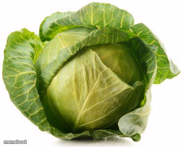 Cabbage - meme generator image preview