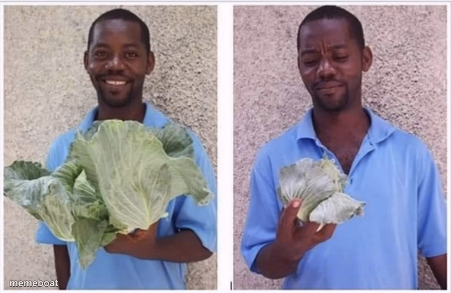 Cabbage Comparison - meme generator image preview