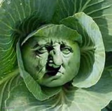 Grumpy Cabbage Face