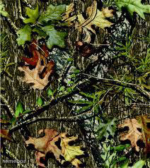 Camo - meme generator image preview