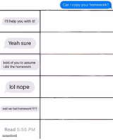Can i copy your homework