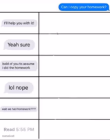 Can I copy your homework? Character template