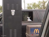 Can I get uhhh