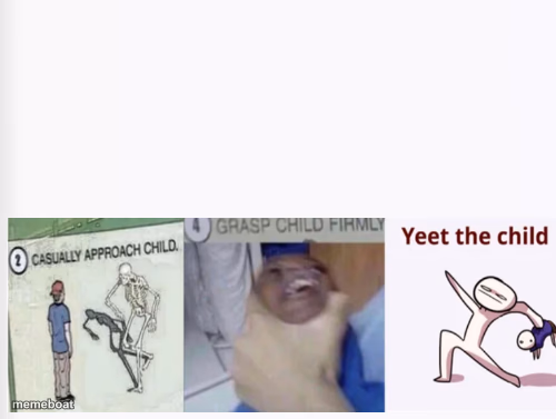 Casually Approach Child, Grasp Child Firmly, Yeet the Child - meme generator image preview