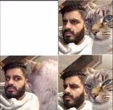 Man And Cat Judging