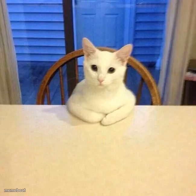 Cat At Table Listening - meme generator image preview