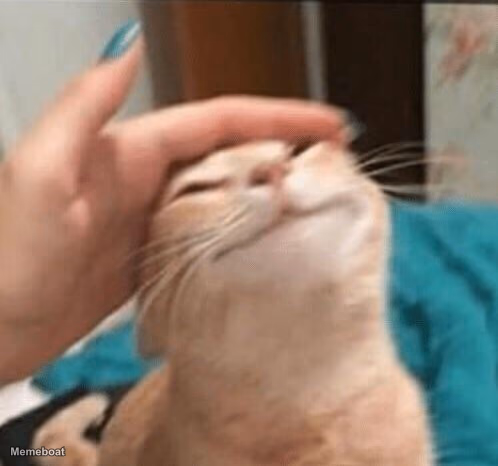 Cat being pet - meme generator image preview