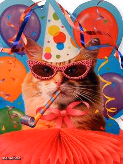 Cat Celebration! - meme generator image preview