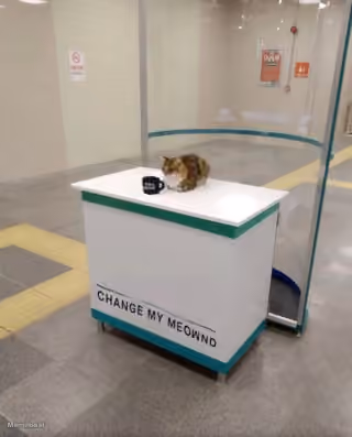 Cat "Change My Meownd"