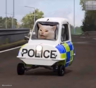 Cat Driving Police Car