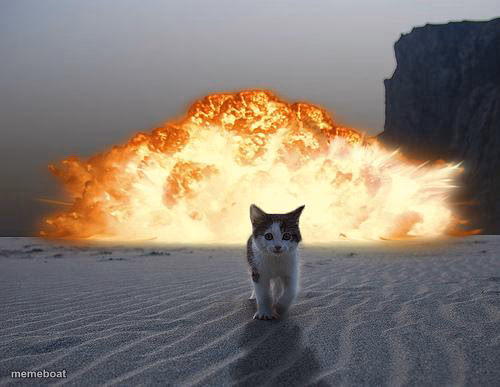 cat explosion - meme generator image preview