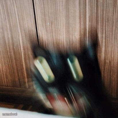 cat falling off table - meme generator image preview
