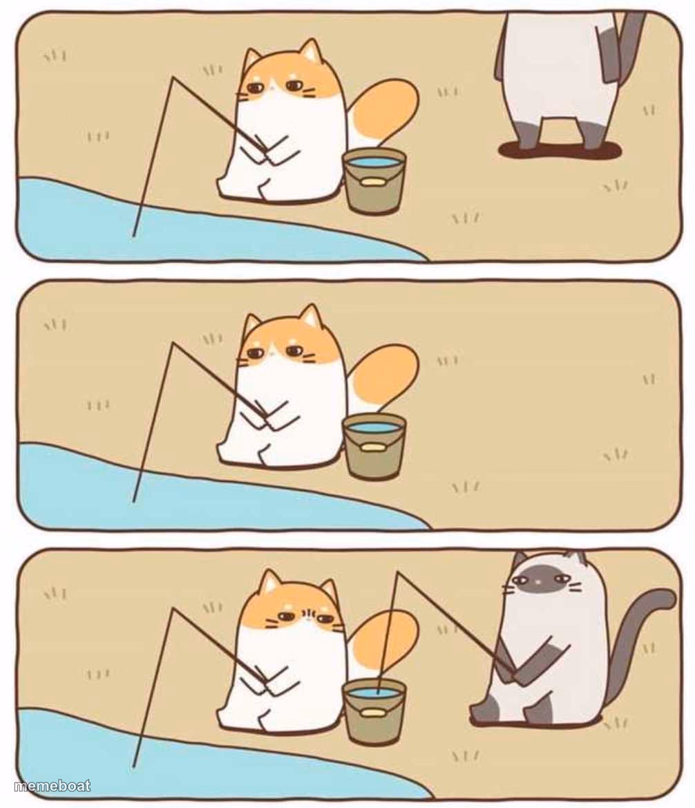Cat Fishing - meme generator image preview