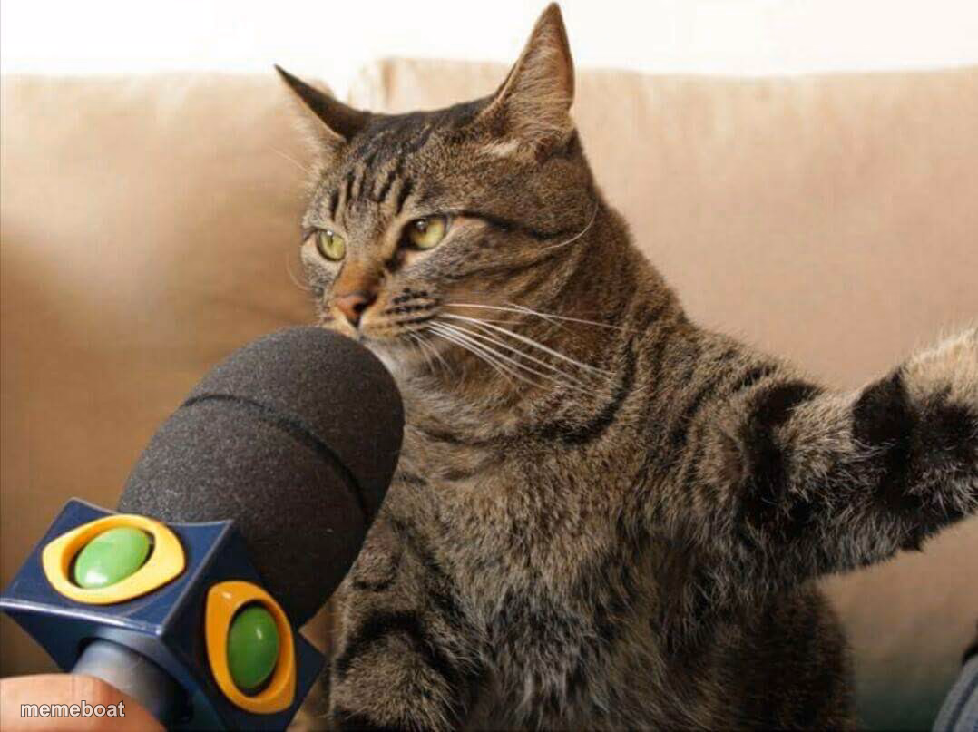 Cat giving an interview - meme generator image preview