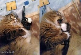 Cat Gun - meme generator image preview