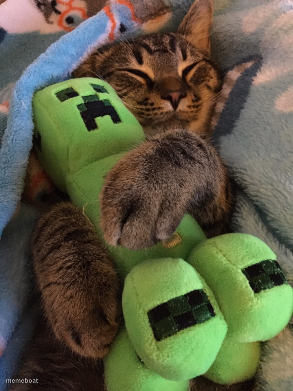 Cat hugging creeper - meme generator image preview