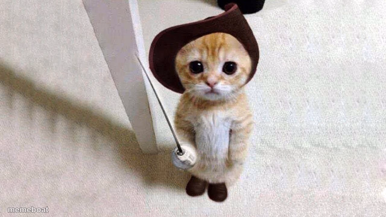 Cat in Boots - meme generator image preview