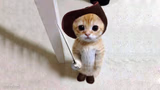 Cat in Boots