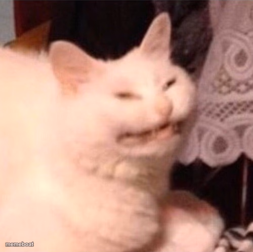 Cat Laughing - meme generator image preview