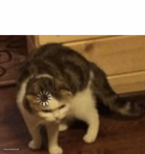 Cat Loading template - meme generator image preview