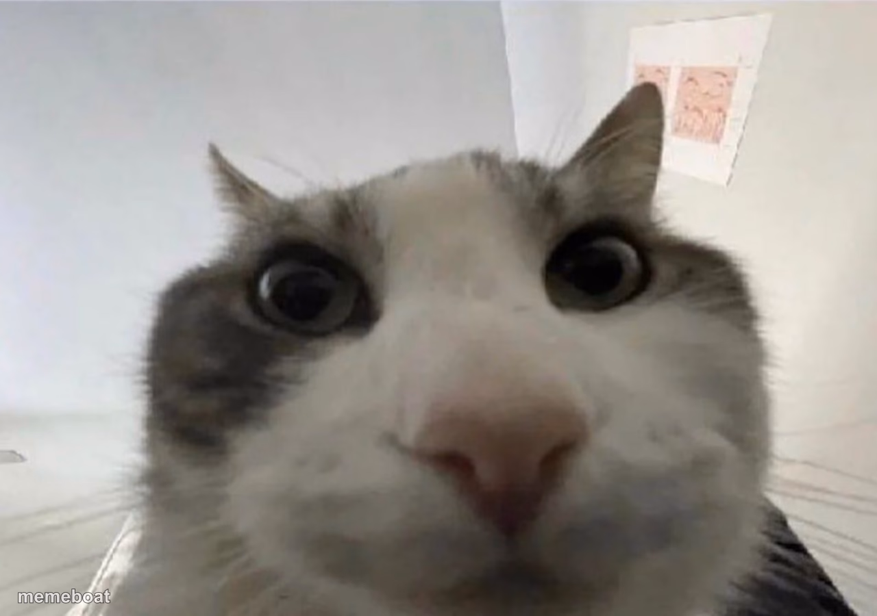 Cat looking inside - meme generator image preview