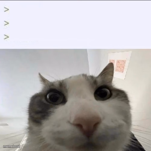 Cat looks inside - meme generator image preview
