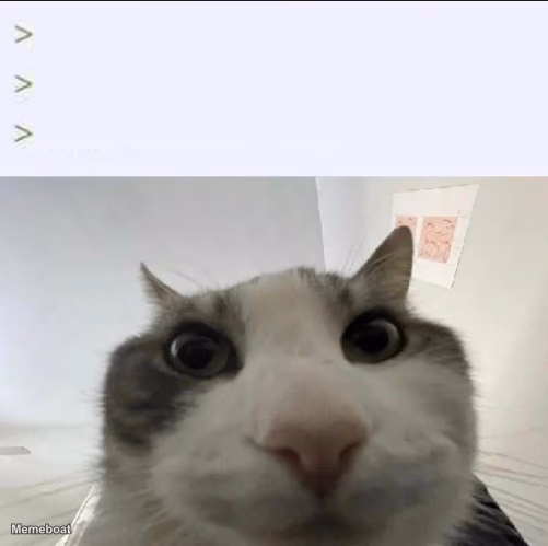 Cat looks inside - meme generator image preview