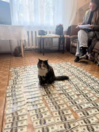 Cat on Money