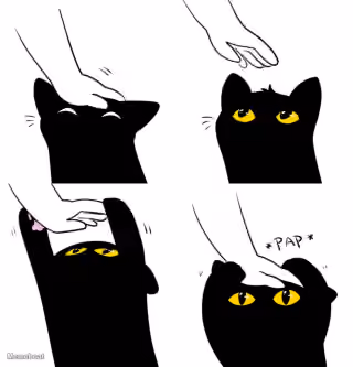Cat "PAP"