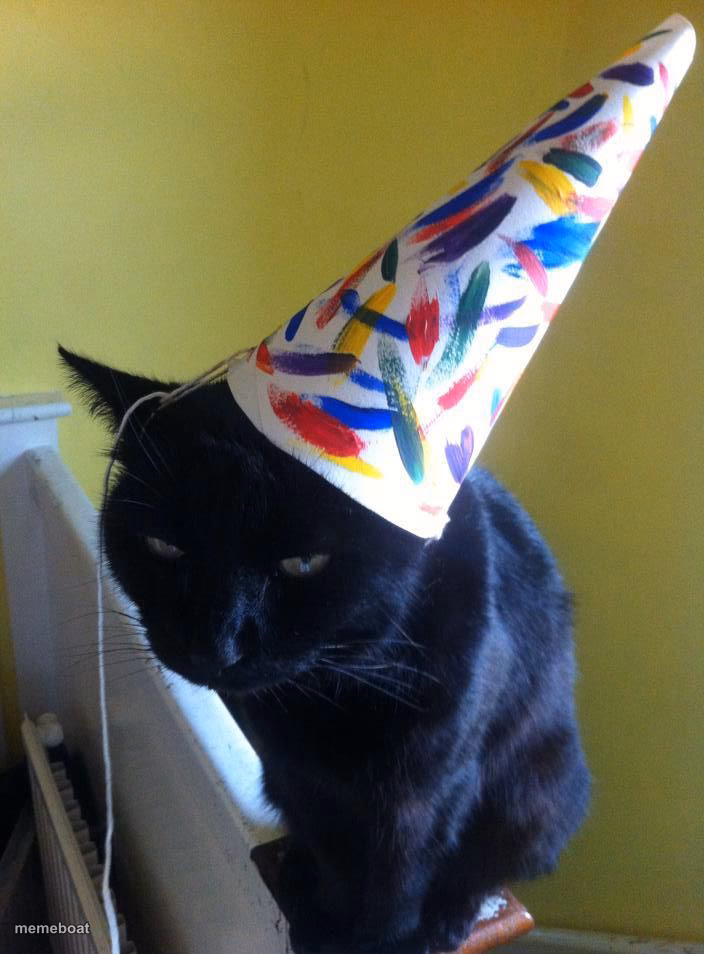 cat party hat - meme generator image preview