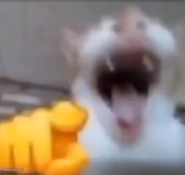 Cat pointing and laughing - meme generator image preview