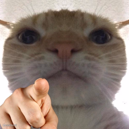 Cat Pointing at You - meme generator image preview