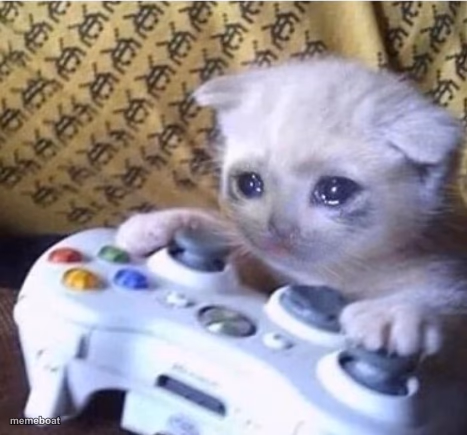 cat sad controller - meme generator image preview