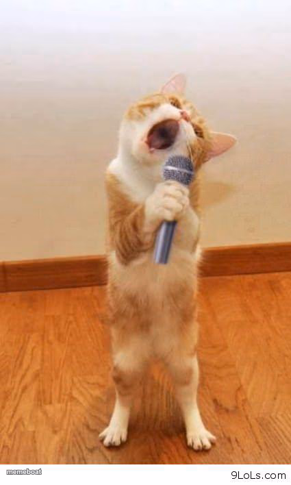 Cat Singer - meme generator image preview
