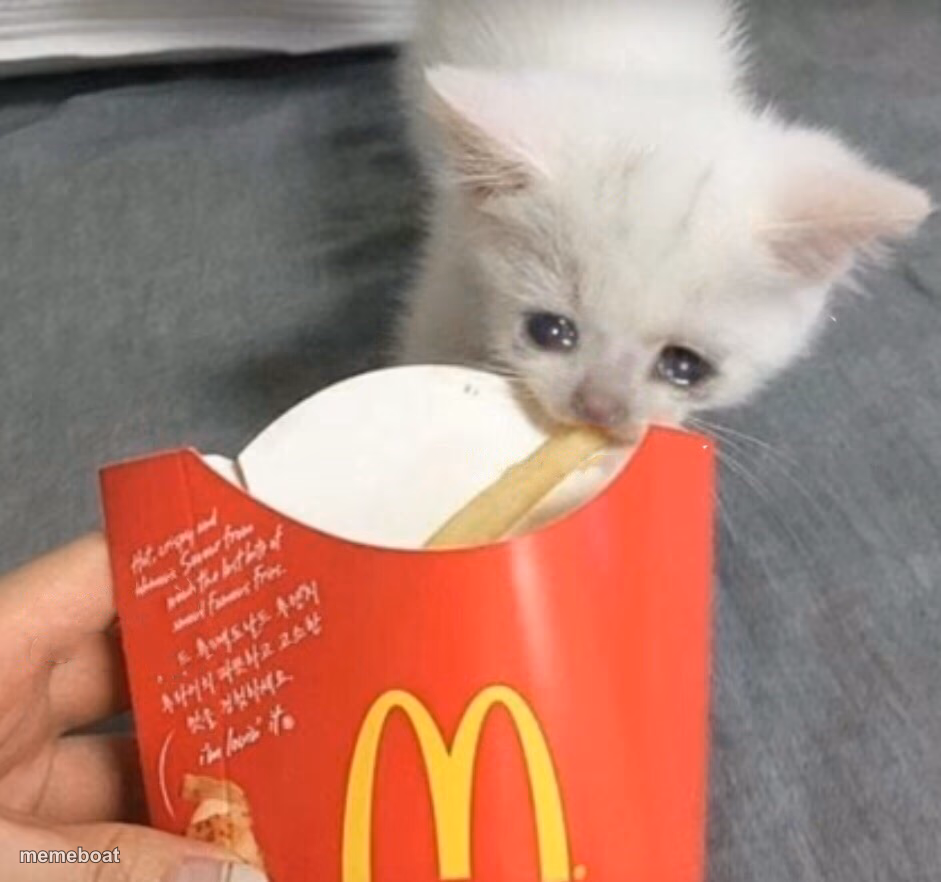 cat stealing mcdonalds fry - meme generator image preview