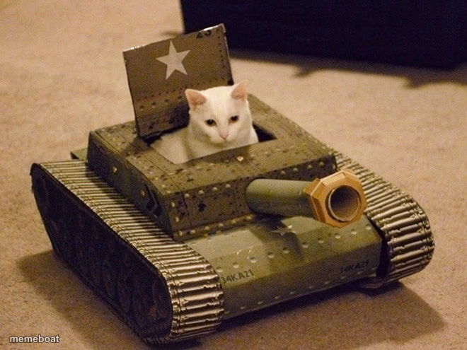cat TONK - meme generator image preview