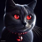 Demon Eyed Cat