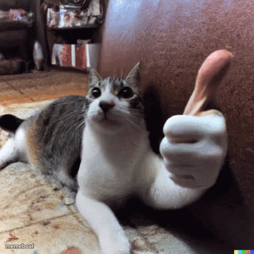 cat with a thumbs up - meme generator image preview