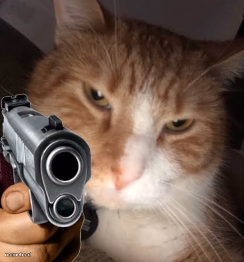 Cat with gun - meme generator image preview