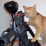 Cat With Machine Gun