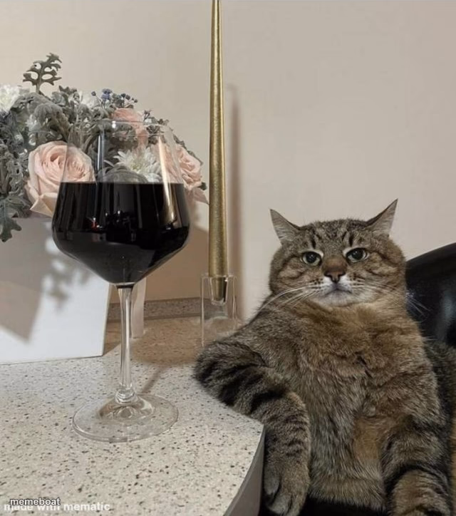 Cat with Wine - meme generator image preview