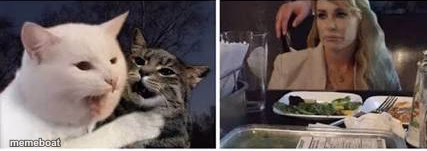 Cat yelling at woman - meme generator image preview