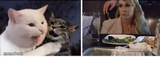 Cat yelling at woman