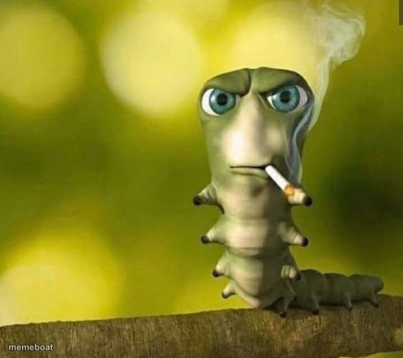 Caterpillar smoking - meme generator image preview