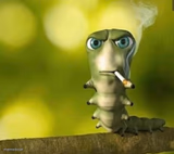 Caterpillar smoking