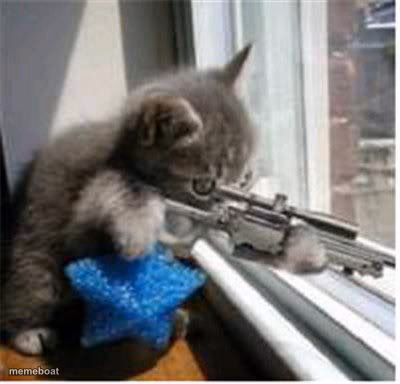 cats with guns - meme generator image preview